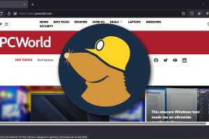 Privacy browser from Mullvad VPN and Tor tries to erase your digital fingerprint