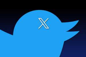 RIP blue bird: Twitter rebrands as 'X'