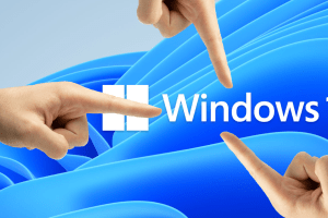 Don't fall for the no-bloat 'government' version of Windows 11 going around